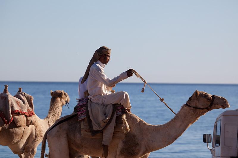 Dahab selectie 2010_01_10 15h03m.jpg - Happy Life Village